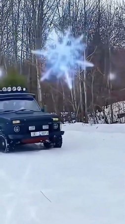 Экспресс доставка елки 31 декабря #хочувдеревню