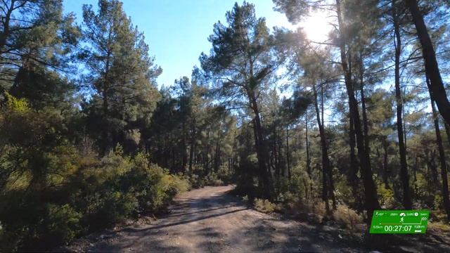 RUN IT! Бег по лесу в горах Турции | Виртуальный забег для беговой дорожки смотреть онлайн