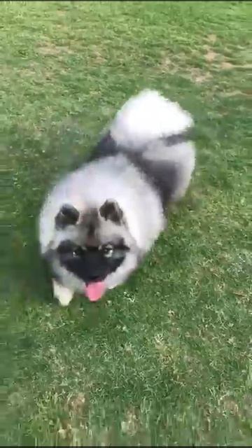 Алмазный Источник Лазурит Драгоценный смотреть онлайн