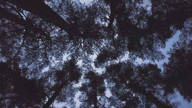 Horror Trailer Background Music for Videos | Smile of Death by Vladimir Takinov