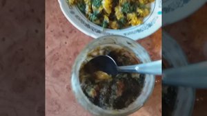 пыльца сосны и одуванчик и их консервирование