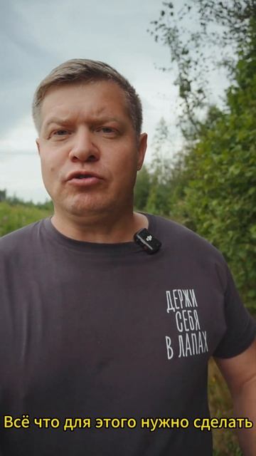 Собака игнорирует в дрессировке! #shorts #собака #дрессировкасобаки #дрессировкащенка #амстафф смотреть онлайн