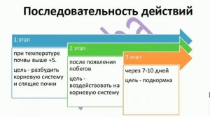 Клематисы. Краткий курс реанимации