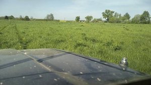 обработка поля от люпина гербицидом торнадо 540