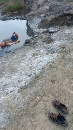 Неизвестная форма жизни.