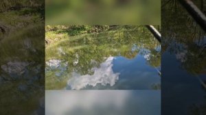 Рыбалочка накоротке.