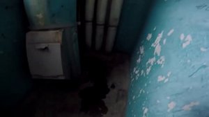 Трамп нассал в подъезде. Смешное видео. Угар. 2016