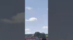 Светлячки вечернего леса