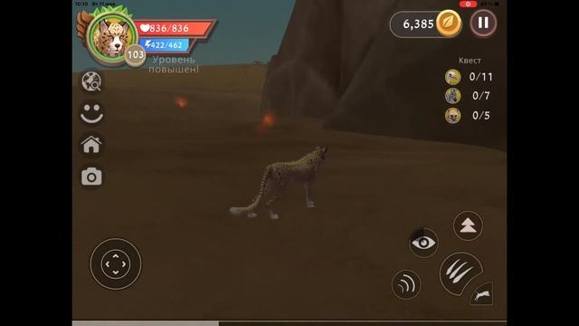 Как Выбить Мистик в WildCraft? Ответ тут! смотреть онлайн