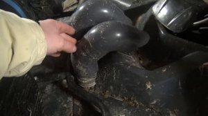 Stels Dinli 600 Ремонт, Эксплуатация, Установка Шноркелей.