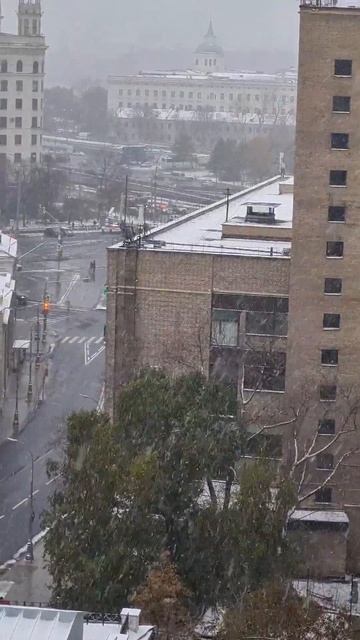 Первый снег 2023 в Москве❄️☃️