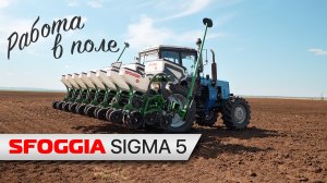 SFOGGIA Sigma 5 | Работа новой сеялки в поле