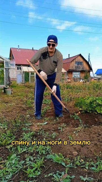 Легкое копание картошки #копаем #копаемкартошку #легк? смотреть онлайн