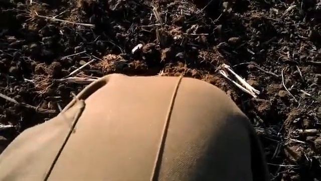 В Запорожской обл. Токмакский район смотреть онлайн