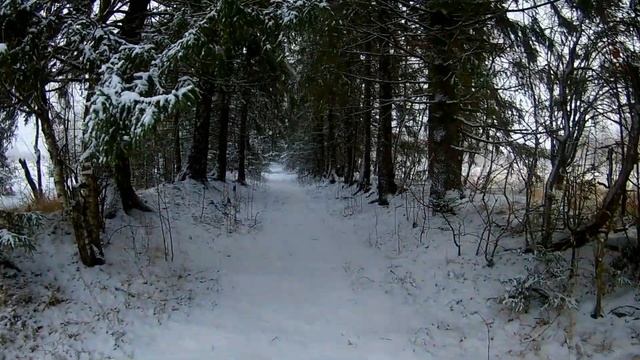 [VLOG_ЛТ#149]: пожелание всем доброго дня, зима вовсю идет смотреть онлайн