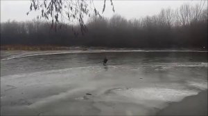 Тамир Ваджариев  Передает Привет своими Тренировками : Здаров Бандиты!))