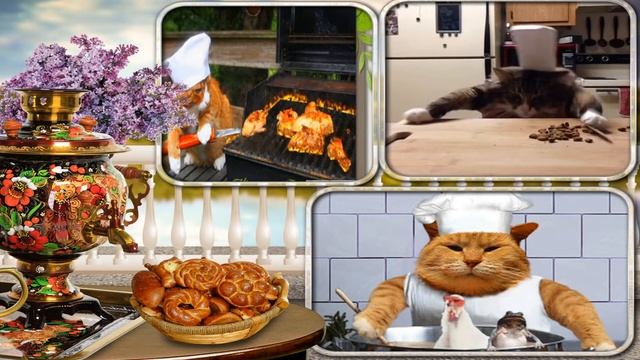 Кот повар - обед весёлый! смотреть онлайн