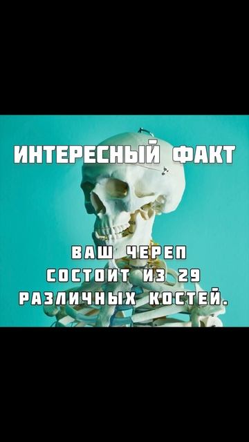 Уголок Фактов #развитие #интересныефакты #саморазвити смотреть онлайн