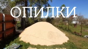 опилки . дача.  сад и огород . приусадебное хозяйство . #косякосяков