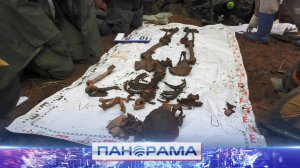 Курсанты из Донецка помогают найти павших героев: 50 красноармейцев подняты в Тверской области