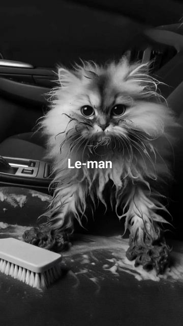 Москва детейлинг полеровка керамика 8926 229-83-33 смотреть онлайн