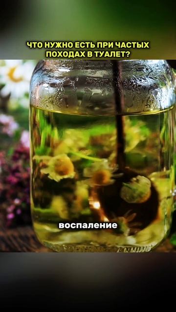 Что нужно есть при частом мочеиспускании? смотреть онлайн