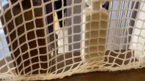 Сетка на лестницу защитная для безопасности детей