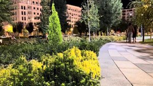 Вечерний Ташкент Сити продолжение