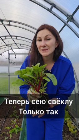 Свёклу сею только так и собираю её с начала июля