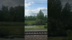 Едем в Ярославль на аниме фестиваль FAP