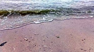 Кемпинг на Молодецком Кургане