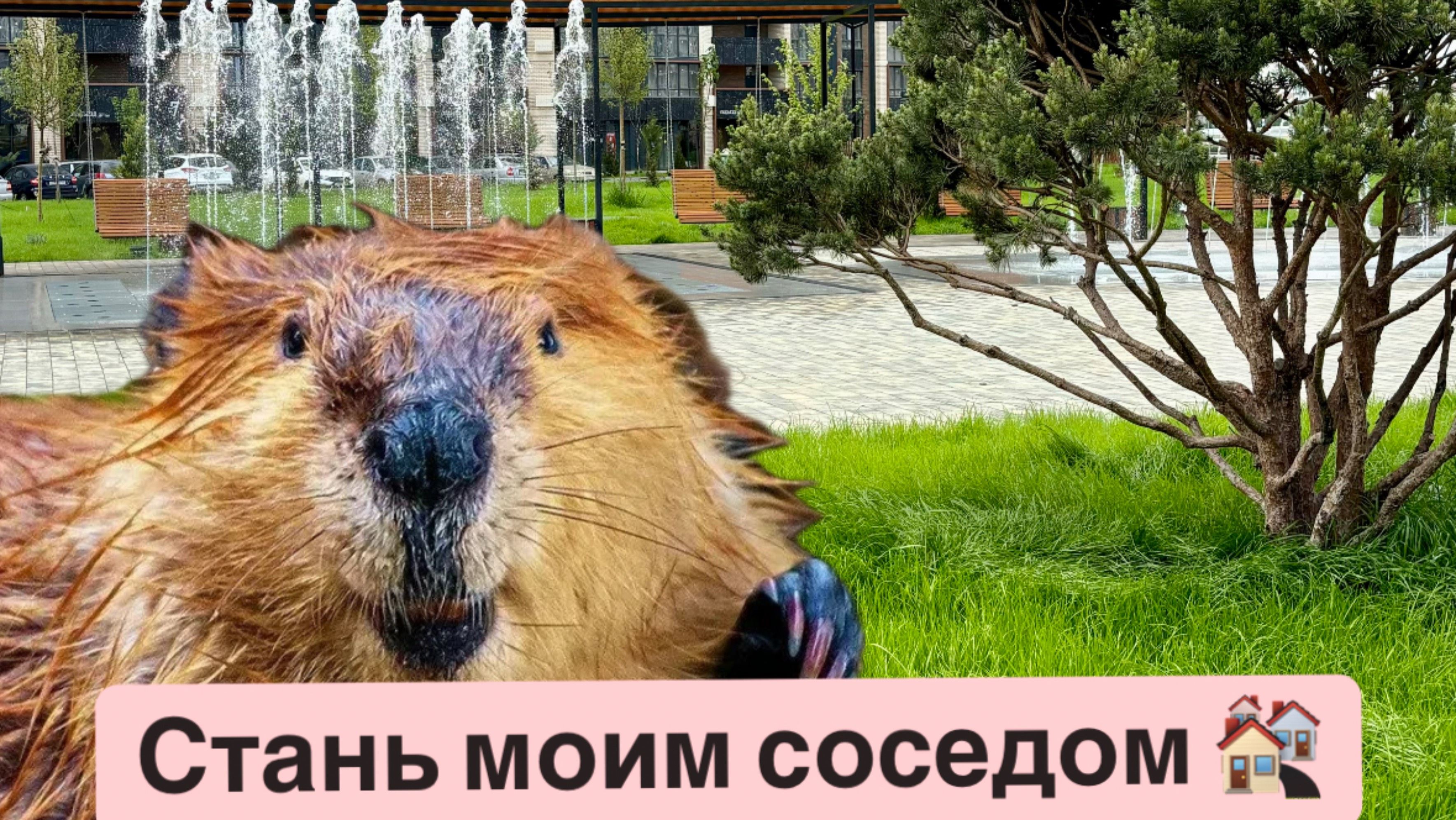 ЖК Комфорт Класса. Краснодар. 
Новостройки Краснодара.