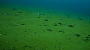 Ловля хариуса на Байкале. Подводные съемки