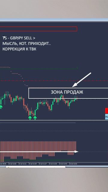 Правильный торговый алгоритм трейдера это ключ