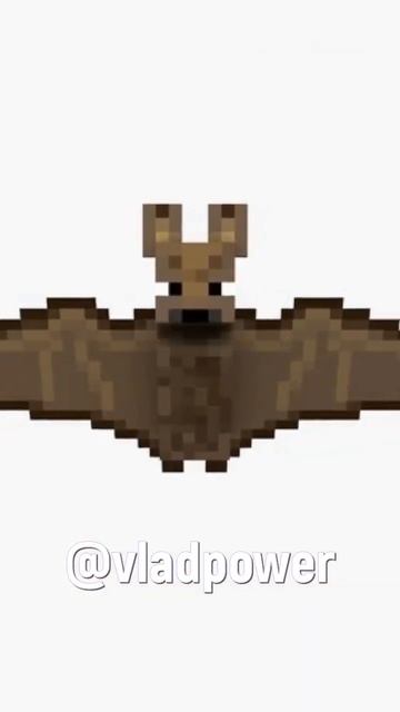 ТОП 5 ФАКТОВ О ЛЕТУЧИХ МЫШАХ КОТОРЫХ ВЫ МОГЛИ НЕ ЗНАТЬ! смотреть онлайн