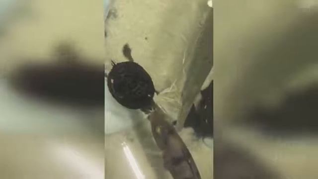 Приколы 2019 февпаль смотреть онлайн