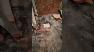 Оторвал плитку от пола. Плитка на мастику. #ремонтквар?