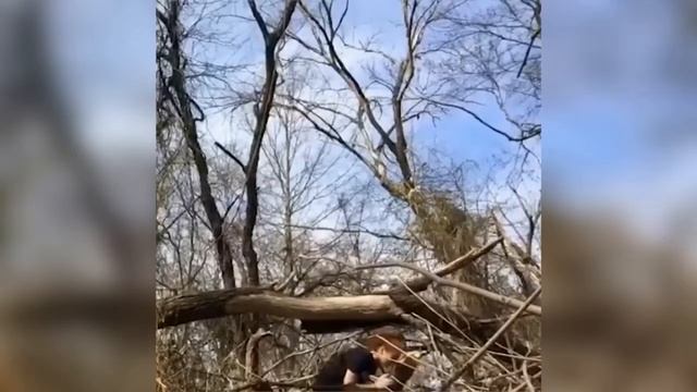 ПО ПРИКОЛУ!!! 👀Смешные видео 2018😅 смотреть онлайн