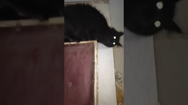 "наша дура выше всех". Бэтмен у всій красі своєї шизи смотреть онлайн