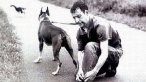 Умнющий собакен!🤍🐾