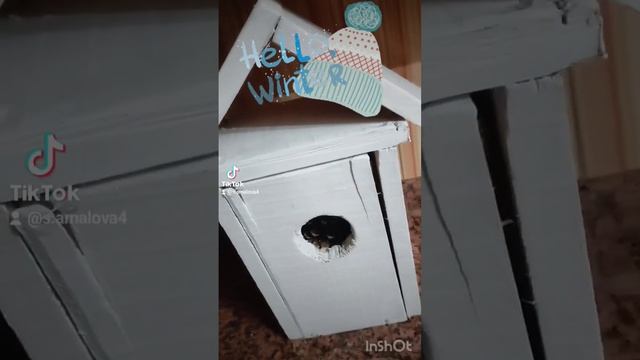 #наблюдаюсебя #творчество #счастьевнутри #причинавомн