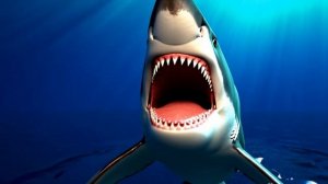 Обитатели морей и океанов Развивающие мультики  Морские животные  Подводный мир