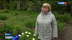 В Ботсаду имени Спрыгина ПГУ впервые распустился уникальный вид пиона // Россия 1. Пенза