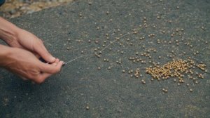 Ловля окуня на поплавочную удочку - Советы для рыбака