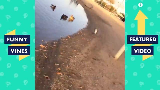 Самый смешной прикол в мире!