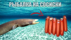 Как Клюет Угорь. Поклевка Угря на Сосиску. Реакция рыбы. Подводная съемка на рыбалке.