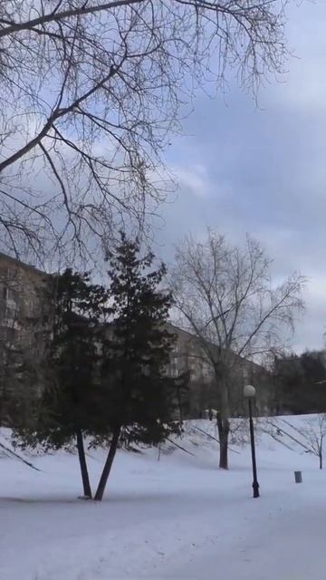Новодевичьи пруды
