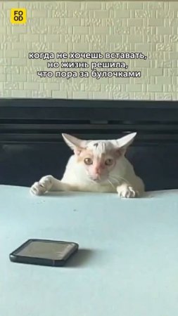 Чего только ни сделаешь ради вкусных булочек! Согласны? #foodru #мем