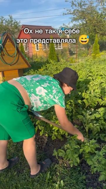 Когда позвали бахнуть соточку 😅 #дача #огород #соседи смотреть онлайн