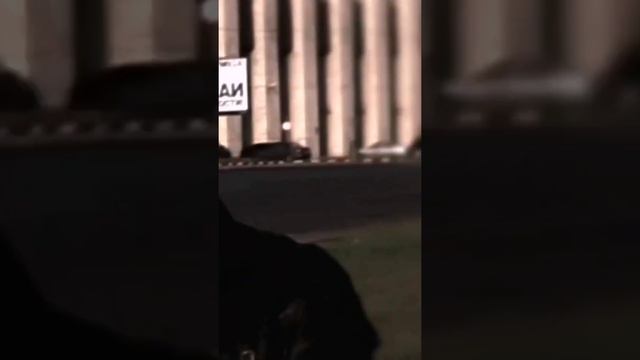 Топ песен года | Самый лучший трек | Охота #shorts смотреть онлайн